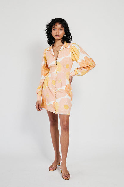 SAMPLE-Charlie Dress