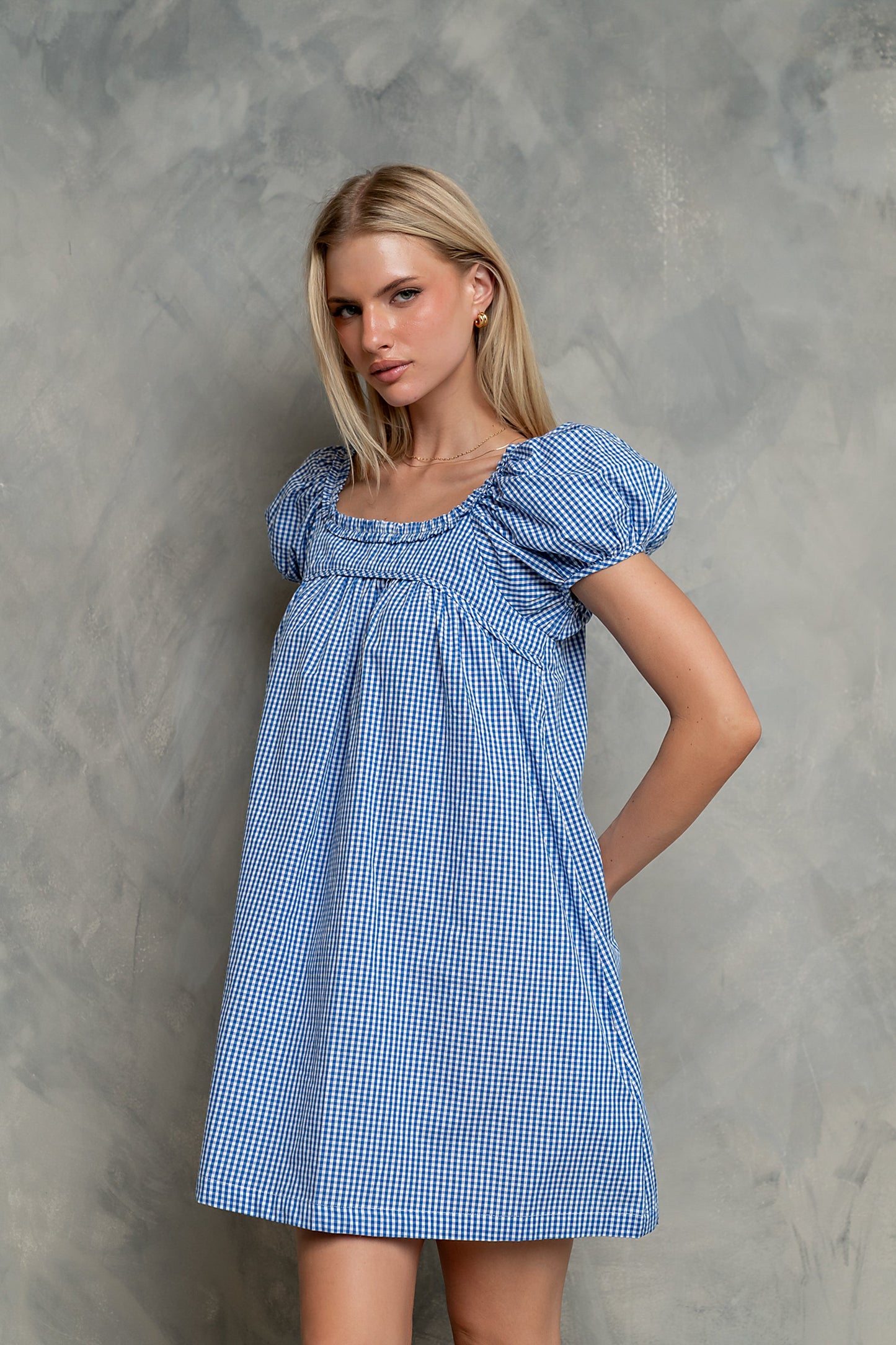 Evelyn Gingham Dress in Blue
