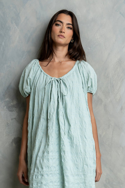 Charlie Gingham Mini Dress in Blue
