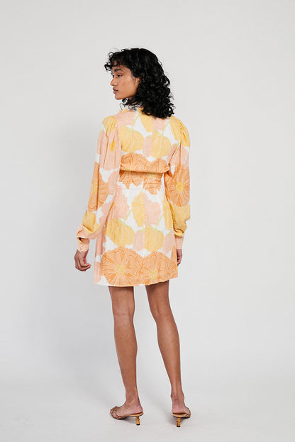 SAMPLE-Charlie Dress