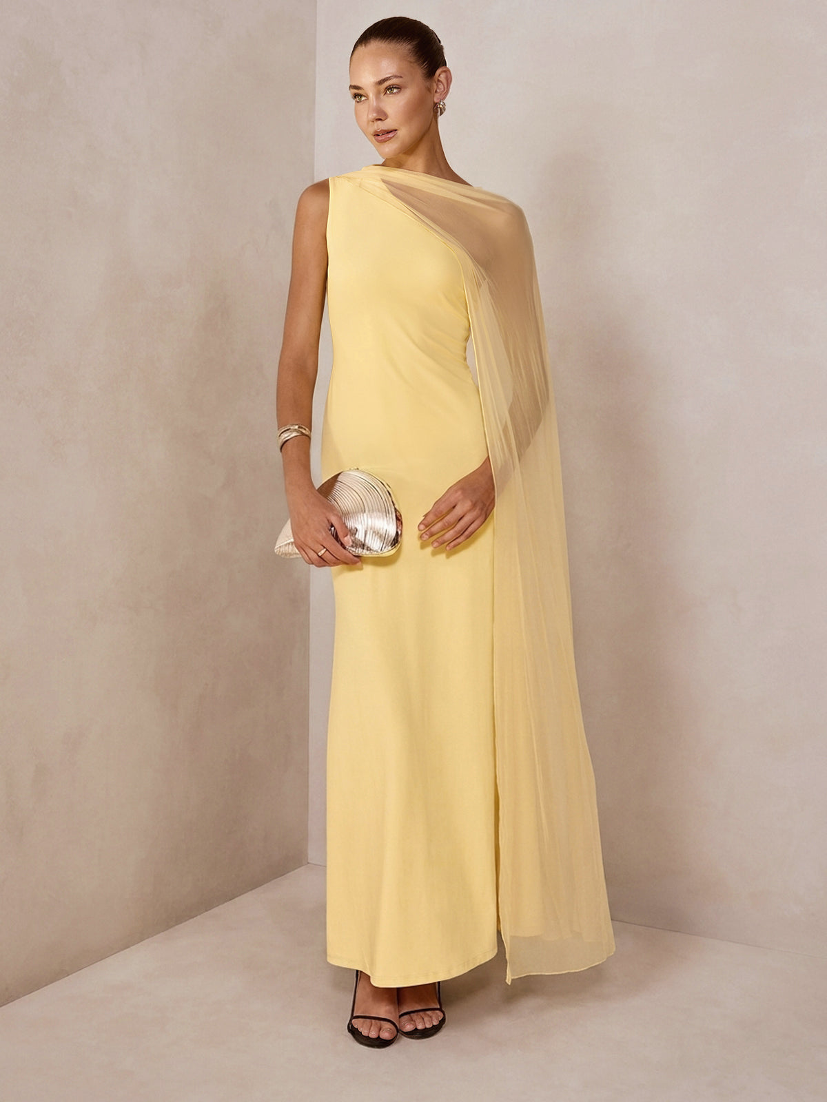 Sheer Drape Slim Maxi Evening Dress