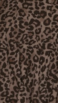 Lidia Shorts - Leopard Print